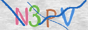 CAPTCHA (Şahıs Denetim Kodu) Resmi