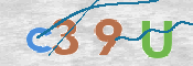 CAPTCHA (Şahıs Denetim Kodu) Resmi