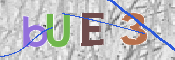 CAPTCHA (Şahıs Denetim Kodu) Resmi