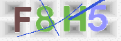 CAPTCHA (Şahıs Denetim Kodu) Resmi