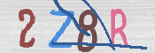 CAPTCHA (Şahıs Denetim Kodu) Resmi