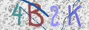 CAPTCHA (Şahıs Denetim Kodu) Resmi