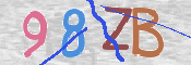 CAPTCHA (Şahıs Denetim Kodu) Resmi