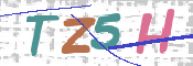 CAPTCHA (Şahıs Denetim Kodu) Resmi