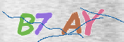 CAPTCHA (Şahıs Denetim Kodu) Resmi