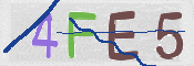 CAPTCHA (Şahıs Denetim Kodu) Resmi