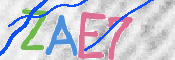 CAPTCHA (Şahıs Denetim Kodu) Resmi