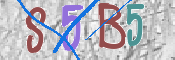 CAPTCHA (Şahıs Denetim Kodu) Resmi