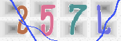CAPTCHA (Şahıs Denetim Kodu) Resmi
