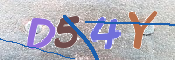 CAPTCHA (Şahıs Denetim Kodu) Resmi