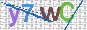 CAPTCHA (Şahıs Denetim Kodu) Resmi