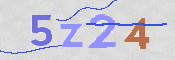 CAPTCHA (Şahıs Denetim Kodu) Resmi