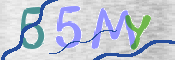 CAPTCHA (Şahıs Denetim Kodu) Resmi