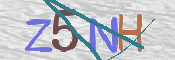 CAPTCHA (Şahıs Denetim Kodu) Resmi