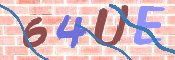 CAPTCHA (Şahıs Denetim Kodu) Resmi