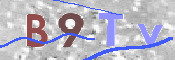 CAPTCHA (Şahıs Denetim Kodu) Resmi