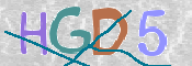 CAPTCHA (Şahıs Denetim Kodu) Resmi