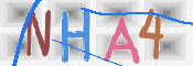 CAPTCHA (Şahıs Denetim Kodu) Resmi