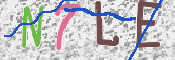CAPTCHA (Şahıs Denetim Kodu) Resmi