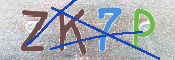 CAPTCHA (Şahıs Denetim Kodu) Resmi