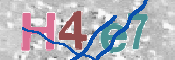 CAPTCHA (Şahıs Denetim Kodu) Resmi