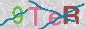 CAPTCHA (Şahıs Denetim Kodu) Resmi
