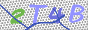 CAPTCHA (Şahıs Denetim Kodu) Resmi