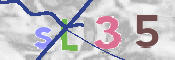 CAPTCHA (Şahıs Denetim Kodu) Resmi