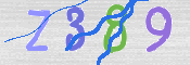 CAPTCHA (Şahıs Denetim Kodu) Resmi