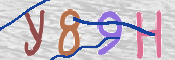 CAPTCHA (Şahıs Denetim Kodu) Resmi