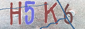 CAPTCHA (Şahıs Denetim Kodu) Resmi