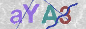 CAPTCHA (Şahıs Denetim Kodu) Resmi