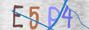 CAPTCHA (Şahıs Denetim Kodu) Resmi