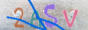 CAPTCHA (Şahıs Denetim Kodu) Resmi