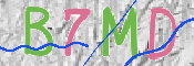 CAPTCHA (Şahıs Denetim Kodu) Resmi