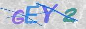 CAPTCHA (Şahıs Denetim Kodu) Resmi