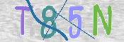CAPTCHA (Şahıs Denetim Kodu) Resmi