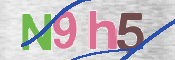 CAPTCHA (Şahıs Denetim Kodu) Resmi