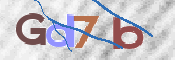 CAPTCHA (Şahıs Denetim Kodu) Resmi