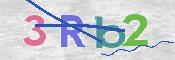 CAPTCHA (Şahıs Denetim Kodu) Resmi