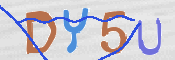CAPTCHA (Şahıs Denetim Kodu) Resmi