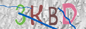 CAPTCHA (Şahıs Denetim Kodu) Resmi