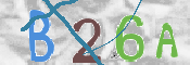CAPTCHA (Şahıs Denetim Kodu) Resmi