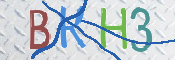 CAPTCHA (Şahıs Denetim Kodu) Resmi