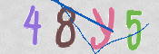 CAPTCHA (Şahıs Denetim Kodu) Resmi