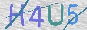 CAPTCHA (Şahıs Denetim Kodu) Resmi