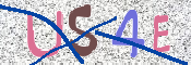 CAPTCHA (Şahıs Denetim Kodu) Resmi