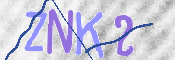 CAPTCHA (Şahıs Denetim Kodu) Resmi