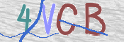 CAPTCHA (Şahıs Denetim Kodu) Resmi