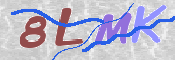 CAPTCHA (Şahıs Denetim Kodu) Resmi